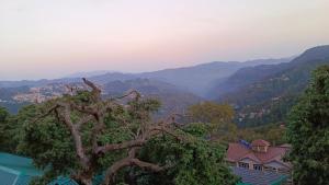 un árbol en primer plano con montañas en el fondo en The Hostelers Homestay - Near ISBT, Bypass, Advance Study and HPU Simla en Shimla