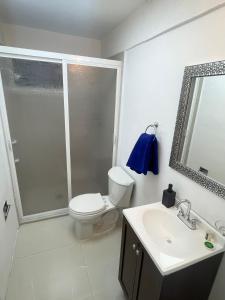 ein Badezimmer mit einem WC, einem Waschbecken und einem Spiegel in der Unterkunft Suite Jacarandas 103 in Guadalajara