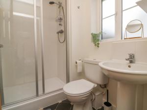 ein Badezimmer mit Toilette, Waschbecken und Dusche in der Unterkunft Reubens Cottage in Barnstaple + 18 Fotos