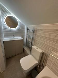 a bathroom with a toilet and a sink and a mirror at El Murrino Apartments in Bournemouth