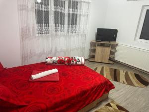 Postel nebo postele na pokoji v ubytování Casa de vacanța Ovy