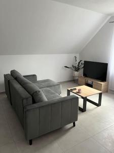 a living room with a couch and a coffee table at Apartament Primula 2 in Jaworki