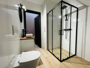 a bathroom with a toilet and a glass shower at Apartament Primula 2 in Jaworki