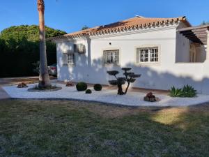 a house with a palm tree in the yard at Exclusive Villa Toulouse with pool in Falesia Algarve in Albufeira