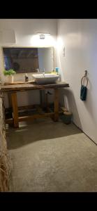 a bathroom counter with a sink and a mirror at Les Petites Bulles de Massier in Vienne