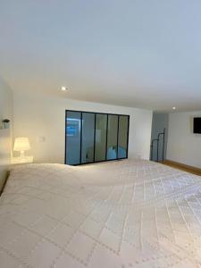 a large bedroom with a large bed in a room at Le Cocon de la Gare de Grenoble in Grenoble