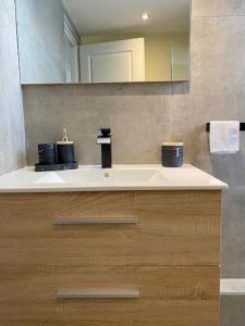 a bathroom with a sink and a mirror at Le Cocon de la Gare de Grenoble in Grenoble