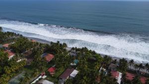 an aerial view of a beach with palm trees at amaremar in San Luis