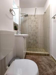 a bathroom with a toilet and a sink and a shower at ALDIRA Studio Arena Nationala in Bucharest