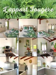 a collage of photos of a apartment house at Tigili in Capesterre-Belle-Eau