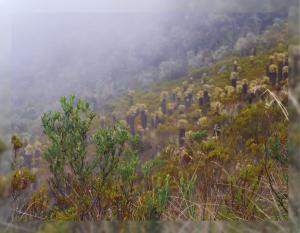 Paesaggio naturale nelle vicinanze dell'hotel