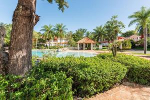 璜多里奧的住宿－Lugar encantador con piscina, Juan Dolio.，一个带凉亭和棕榈树的游泳池