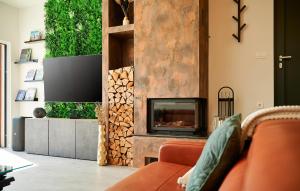 ein Wohnzimmer mit einem Kamin und einem TV in der Unterkunft 4 Bedroom Awesome Home In Dubravice in Dubravice
