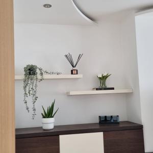 Habitación con paredes blancas y estanterías con plantas. en 1 BED FLAT PARKING WIFI BUSINESS, en Londres