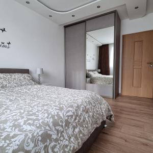 1 dormitorio con cama y espejo grande en 1 BED FLAT PARKING WIFI BUSINESS, en Londres