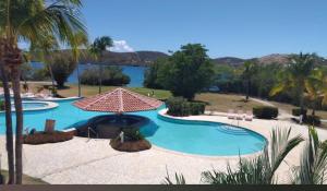 a resort with a swimming pool with a palm tree at Costa Bonita Apt in Culebra