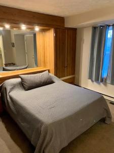 1 dormitorio con 1 cama grande y espejo en Endless Mountain Resort en Union Dale