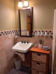 a bathroom with a sink and a mirror at The Lovemore Inn~Hot Tub~Cheerful Carriage Home in Delta