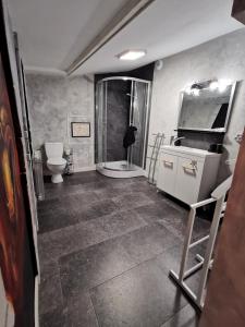 bagno con doccia, lavandino e servizi igienici di Suite privative Le seigneur des Anneaux Arnor a Vertaizon