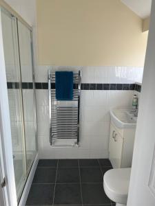 a bathroom with a shower and a toilet and a sink at The Harp Freehouse and Guesthouse in Ipswich