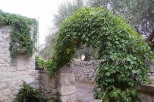 einem großen grünen Busch, der an einer Steinmauer wächst in der Unterkunft Villa Luce in Modica