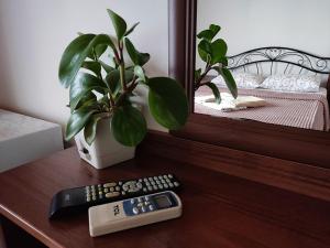 カバルジンカにあるGuest House Odisseyの鉢植えの横のテーブルに座るリモコン