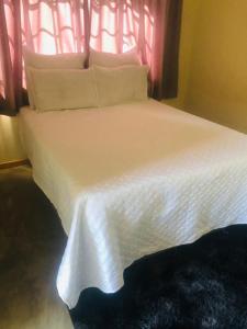 a bedroom with a white bed with a window at Two Bed Two Bath Cottage in Bulawayo