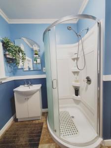 een badkamer met een douche en een wastafel bij Merj's Guest House in Wolesly in Winnipeg