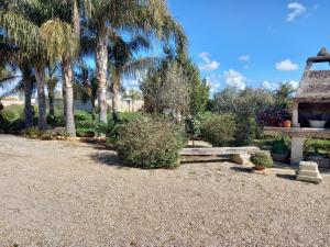A garden outside Curti Russi