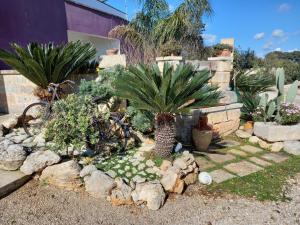 A garden outside Curti Russi