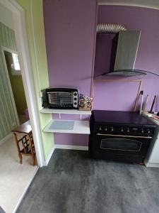 uma cozinha com uma torradeira e um micro-ondas em Jardin de la Cerisaie em Reims