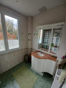 uma casa de banho com um lavatório e um espelho em Jardin de la Cerisaie em Reims