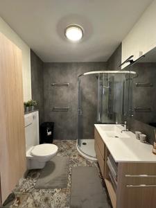 uma casa de banho com um chuveiro, um WC e um lavatório. em Appartement Anthony em Blankenberge