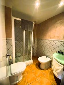 La salle de bains est pourvue de toilettes, d'une douche et d'un lavabo. dans l'établissement Apartamento Balcón a Pistas, à Sierra Nevada