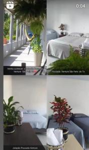 a collage of pictures of plants in a room at Pousada Venture Jalapao in São Félix do Tocantins
