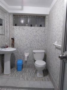 uma casa de banho com um WC e um lavatório em Departamento amplio céntrico em Huaraz