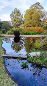 a pond in the middle of a garden at Blissful Country Garden Self-Catering Cottage in Grabouw