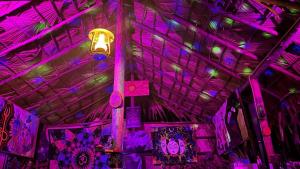 Freedom Camp Ella في إيلا: غرفة أرجوانية مع ضوء يتدلى من السقف