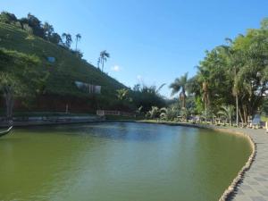 a river with green water and palm trees and a hill at hotel fazenda encanto in Guararema