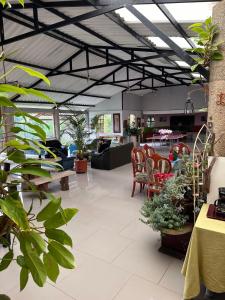 a lobby with a lot of plants and furniture at El Refugio del Colibrí in Santa Rosa de Cabal