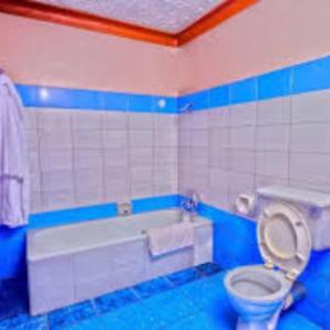 a blue and white bathroom with a toilet and a tub at Royal Lake View Hotel in Kampala