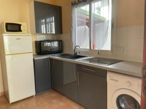 eine Küche mit einer Spüle und einer Waschmaschine in der Unterkunft Appartement Hibiscus in Basse-Terre