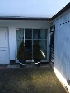 zwei Topfbäume vor einem Haus in der Unterkunft My vintage Home in Solingen