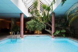 a large swimming pool in a building with plants at Hôtel-restaurant Le Sénéchal in Sauveterre-de-Rouergue
