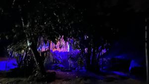 - une vue nocturne sur une fontaine aux lumières violettes dans l'établissement Freedom Camp Ella, à Ella