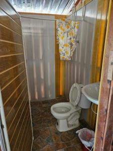 Baño pequeño con aseo y lavamanos en Hostal La Cabaña, en Mesetas