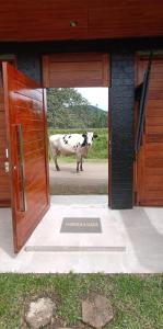 a cow standing in the doorway of a house at CASA RANCH OXAPAMPA PET FRIENDLY in Oxapampa