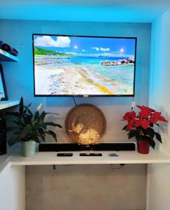 a flat screen tv sitting on top of a shelf at Blissful Country Garden Self-Catering Cottage in Grabouw