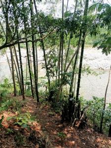 旅馆周边自然景观