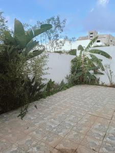 a stone walkway next to a white wall with plants at Amazing villa next to the beach in Nabeul